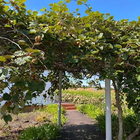 Sunshine House No.2 * Madalena (Azores)