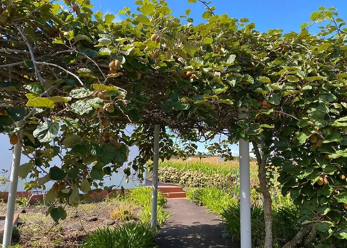 Sunshine House No.2 * Madalena (Azores)